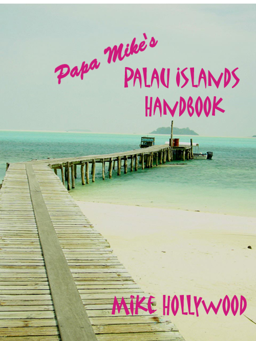 Possible Cover copy.jpg